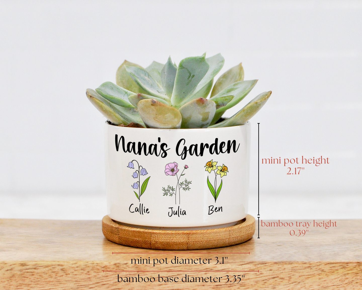 Grandma's Garden Mini Planter | Gift for Grandma